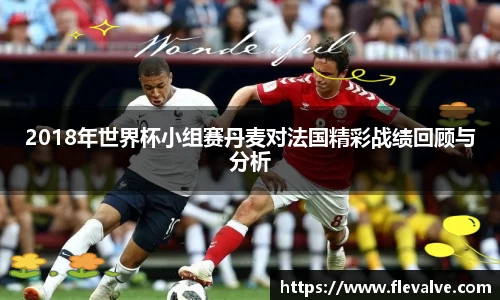 2018年世界杯小组赛丹麦对法国精彩战绩回顾与分析